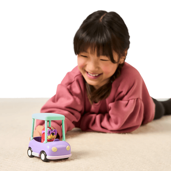 Bluey Basic Vehicle