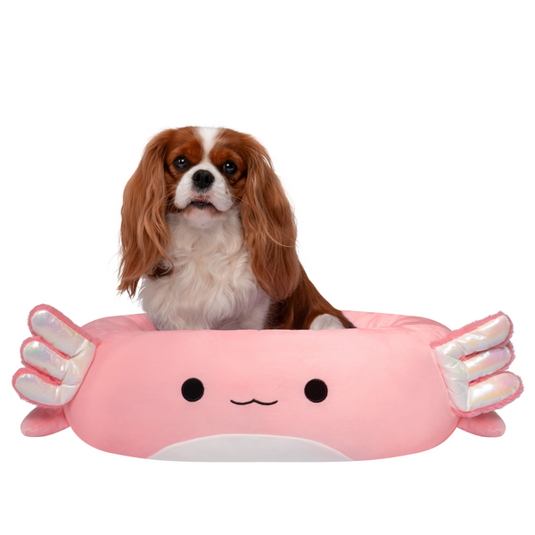 Squishmallows Original Archie the Axolotl Pet Bed – Large