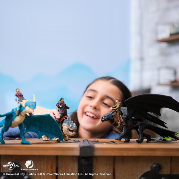 How to Train Your Dragon Toothless & Hiccup