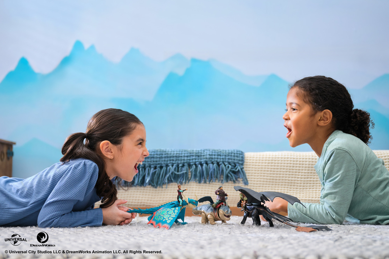 How to Train Your Dragon Toothless & Hiccup