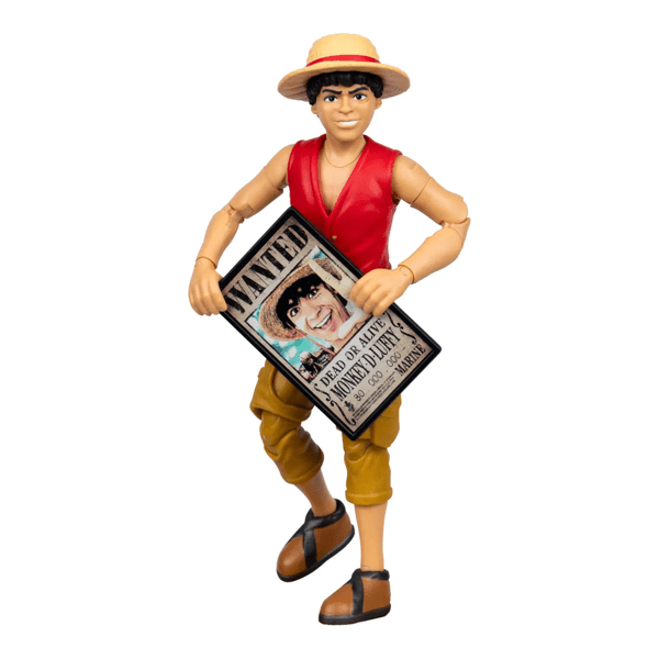 One Piece Action Figure