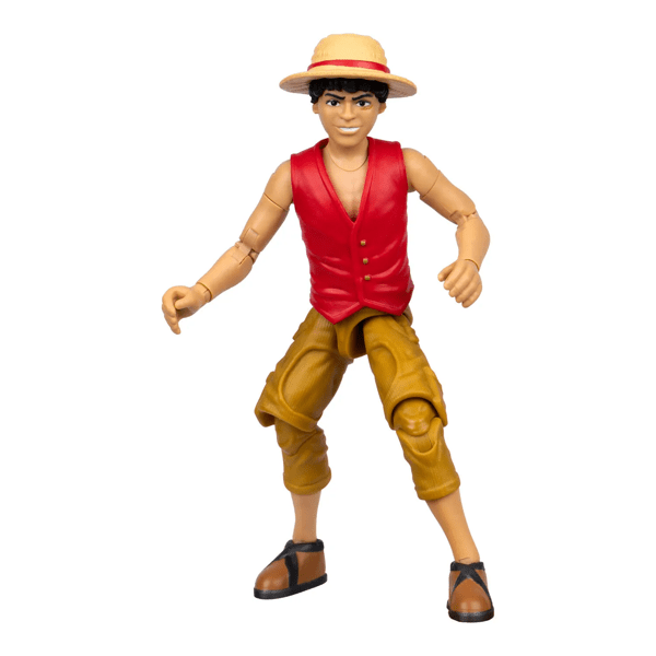 One Piece Action Figure