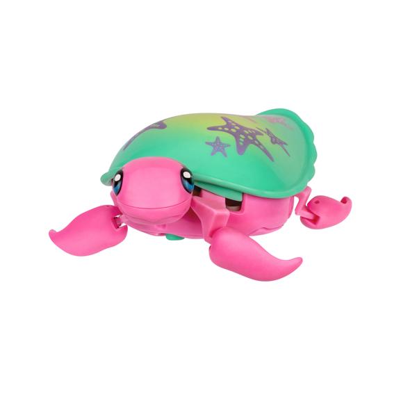 Little Live Pets Lil’ Turtle