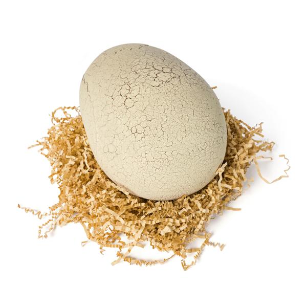 Jurassic World Primal Hatch Interactive Dinosaur