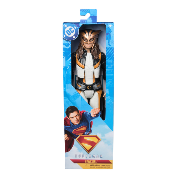 Superman 30cm Legacy International Figure Assorted