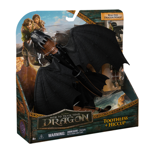 How to Train Your Dragon Toothless & Hiccup
